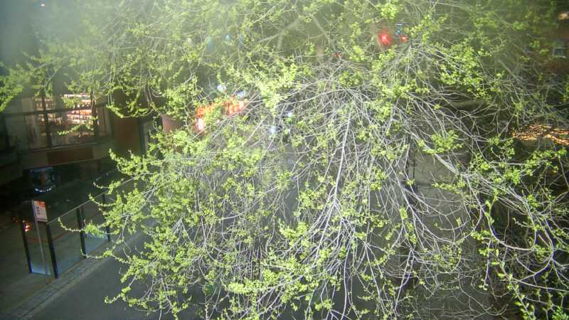 Traffic camera image at 2025-05-09 07:00:40